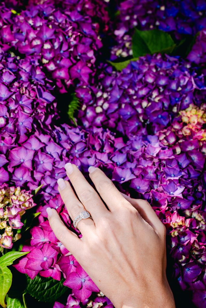 sylt hochzeit kosten für ein foto shooting